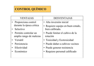 CONTROL QUÍMICO

          VENTAJAS                      DESVENTAJAS
•    Proporciona control       • Alta inversión inicial
    durante la época crítica   • Requiere equipo en buen estado,
•    Selectivo                  bien calibrado.
•    Permite controlar un      • Puede limitar el cultivo de la
    amplio rango de malezas     rotación
•    Versátil                  • Toxicidad y Ecotoxicidad
•    Persistencia              • Puede dañar a cultivos vecinos
•    Efectividad               • Puede generar resistencia
•    Económico                 • Requiere personal calificado
 
