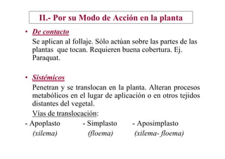 II.- Por su Modo de Acción en la planta
• De contacto
  Se aplican al follaje. Sólo actúan sobre las partes de las
  plantas que tocan. Requieren buena cobertura. Ej.
  Paraquat.

• Sistémicos
   Penetran y se translocan en la planta. Alteran procesos
   metabólicos en el lugar de aplicación o en otros tejidos
   distantes del vegetal.
   Vías de translocación:
- Apoplasto         - Simplasto     - Aposimplasto
   (xilema)           (floema)       (xilema- floema)
 