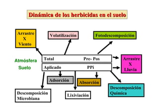 Dinámica de los herbicidas en el suelo

 Arrastre         Volatilización            Fotodescomposición
   X
 Viento


Atmósfera    Total                  Pre- Pos            Arrastre
                                                          X
 Suelo       Aplicado                 PPi               Lluvia

                  Adsorción        Absorción
                                                  Descomposición
 Descomposición            Lixiviación            Química
 Microbiana
 