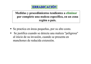 ERRADICACIÓN

 Medidas y procedimientos tendientes a eliminar
  por completo una maleza específica, en un zona
                  región o país.

Se practica en áreas pequeñas, por su alto costo.
 Se justifica cuando se detecta una maleza "peligrosa"
al inicio de su invasión, cuando se presenta en
manchones de reducida extensión.
 
