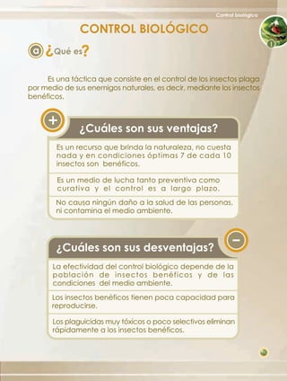 Control biológico


               CONTROL BIOLÓGICO
     ?
 a       Qué es?
     Es una táctica que consiste en el control de los insectos plaga
por medio de sus enemigos naturales, es decir, mediante los insectos
benéficos.



               ¿Cuáles son sus ventajas?
         Es un recurso que brinda la naturaleza, no cuesta
         nada y en condiciones óptimas 7 de cada 10
         insectos son benéficos.

         Es un medio de lucha tanto preventiva como
         curativa y el control es a largo plazo.
         No causa ningún daño a la salud de las personas,
         ni contamina el medio ambiente.




         ¿Cuáles son sus desventajas?
       La efectividad del control biológico depende de la
       población de insectos benéficos y de las
       condiciones del medio ambiente.
       Los insectos benéficos tienen poca capacidad para
       reproducirse.

       Los plaguicidas muy tóxicos o poco selectivos eliminan
       rápidamente a los insectos benéficos.

                                                                           11
 