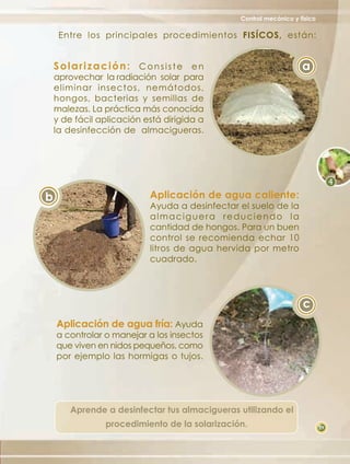 Control mecánico y físico

     Entre los principales procedimientos FISÍCOS, están:


    Solarización: Consiste en                                      a
    aprovechar la radiación solar para
    eliminar insectos, nemátodos,
    hongos, bacterias y semillas de
    malezas. La práctica más conocida
    y de fácil aplicación está dirigida a
    la desinfección de almacigueras.




b                          Aplicación de agua caliente:
                           Ayuda a desinfectar el suelo de la
                           almaciguera reduciendo la
                           cantidad de hongos. Para un buen
                           control se recomienda echar 10
                           litros de agua hervida por metro
                           cuadrado.




                                                                   c
    Aplicación de agua fría: Ayuda
    a controlar o manejar a los insectos
    que viven en nidos pequeños, como
    por ejemplo las hormigas o tujos.




        Aprende a desinfectar tus almacigueras utilizando el
                procedimiento de la solarización.                          29
 