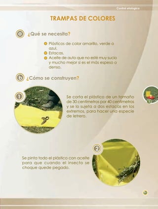 Control etológico



                   TRAMPAS DE COLORES

a     ¿Qué se necesita?
                  Plásticos de color amarillo, verde o
                  azul.
                  Estacas.
                  Aceite de auto que no esté muy sucio
                  y mucho mejor si es el más espeso o
                  denso.

b ¿Cómo se construyen?


1                          Se corta el plástico de un tamaño
                           de 30 centímetros por 40 centímetros
                           y se lo sujeta a dos estacas en los
                           extremos, para hacer una especie
                           de letrero.




                                           2
    Se pinta todo el plástico con aceite
    para que cuando el insecto se
    choque quede pegado.




                                                                         37
 