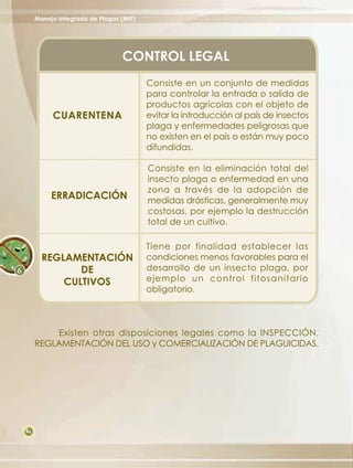 Manejo Integrado de Plagas (MIP)




                                CONTROL LEGAL
                                        Consiste en un conjunto de medidas
                                        para controlar la entrada o salida de
                                        productos agrícolas con el objeto de
          CUARENTENA                    evitar la introducción al país de insectos
                                        plaga y enfermedades peligrosas que
                                        no existen en el país o están muy poco
                                        difundidas.

                                        Consiste en la eliminación total del
                                        insecto plaga o enfermedad en una
                                        zona a través de la adopción de
          ERRADICACIÓN                  medidas drásticas, generalmente muy
                                        costosas, por ejemplo la destrucción
                                        total de un cultivo.

                                        Tiene por finalidad establecer las
       REGLAMENTACIÓN                   condiciones menos favorables para el
              DE                        desarrollo de un insecto plaga, por
           CULTIVOS                     ejemplo un control fitosanitario
                                        obligatorio.



          Existen otras disposiciones legales como la INSPECCIÓN,
     REGLAMENTACIÓN DEL USO y COMERCIALIZACIÓN DE PLAGUICIDAS.




46
 