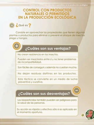 Control con productos naturales o permitidos en la producción ecológica


         CONTROL CON PRODUCTOS
           NATURALES O PERMITIDOS
       EN LA PRODUCCIÓN ECOLÓGICA
     ?
 a       Qué es   ?
     Consiste en aprovechar las propiedades que tienen algunas
plantas o productos para eliminar o prevenir el ataque de insectos
plaga y hongos.



             ¿Cuáles son sus ventajas?
       No crean resistencia en los insectos.

       Pueden ser mezclados entre sí y no tener problemas
       de incompatibilidad.

       Son fáciles de conseguir y además no cuestan mucho.

       No dejan residuos dañinos en los productos.

       Esta táctica se convierte en un medio de lucha
       preventiva y curativa.




       ¿Cuáles son sus desventajas?
       Los biopesticidas también pueden ser peligrosos para
       la salud de las personas.

                                      '
      Su acción es rápida y efectiva solo si es aplicado en
      el momento oportuno.
                                                                                  61
 