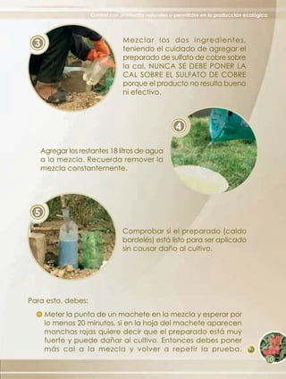 Control con productos naturales o permitidos en la producción ecológica




                                Mezclar los dos ingredientes,
 3                              teniendo el cuidado de agregar el
                                preparado de sulfato de cobre sobre
                                la cal, NUNCA SE DEBE PONER LA
                                CAL SOBRE EL SULFATO DE COBRE
                                porque el producto no resulta bueno
                                ni efectivo.



                                                      4

     Agregar los restantes 18 litros de agua
     a la mezcla. Recuerda remover la
     mezcla constantemente.




 5
                                Comprobar si el preparado (caldo
                                bordelés) está listo para ser aplicado
                                sin causar daño al cultivo.




Para esto, debes:
      Meter la punta de un machete en la mezcla y esperar por
      lo menos 20 minutos, si en la hoja del machete aparecen
      manchas rojas quiere decir que el preparado está muy
      fuerte y puede dañar al cultivo. Entonces debes poner
      más cal a la mezcla y volver a repetir la prueba.                            71
 