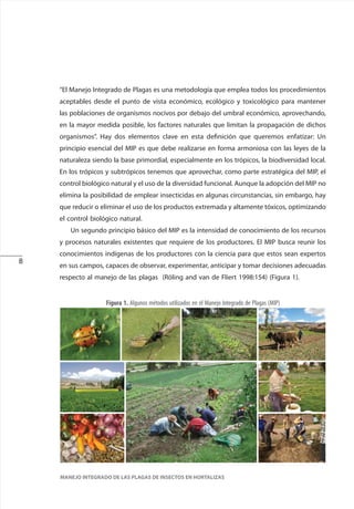 8
MANEJO INTEGRADO DE LAS PLAGAS DE INSECTOS EN HORTALIZAS
“El Manejo Integrado de Plagas es una metodología que emplea todos los procedimientos
aceptables desde el punto de vista económico, ecológico y toxicológico para mantener
las poblaciones de organismos nocivos por debajo del umbral económico, aprovechando,
en la mayor medida posible, los factores naturales que limitan la propagación de dichos
organismos”. Hay dos elementos clave en esta definición que queremos enfatizar: Un
principio esencial del MIP es que debe realizarse en forma armoniosa con las leyes de la
naturaleza siendo la base primordial, especialmente en los trópicos, la biodiversidad local.
En los trópicos y subtrópicos tenemos que aprovechar, como parte estratégica del MIP, el
control biológico natural y el uso de la diversidad funcional. Aunque la adopción del MIP no
elimina la posibilidad de emplear insecticidas en algunas circunstancias, sin embargo, hay
que reducir o eliminar el uso de los productos extremada y altamente tóxicos, optimizando
el control biológico natural.
Un segundo principio básico del MIP es la intensidad de conocimiento de los recursos
y procesos naturales existentes que requiere de los productores. El MIP busca reunir los
conocimientos indígenas de los productores con la ciencia para que estos sean expertos
en sus campos, capaces de observar, experimentar, anticipar y tomar decisiones adecuadas
respecto al manejo de las plagas (Röling and van de Fliert 1998:154) (Figura 1).
Figura 1. Algunos métodos utilizados en el Manejo Integrado de Plagas (MIP)
 