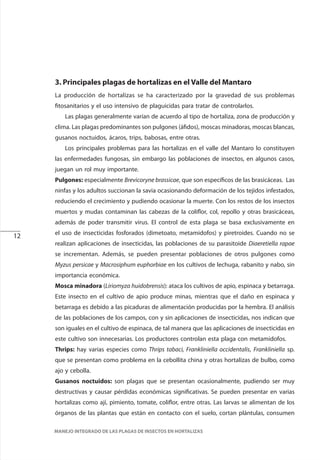 12
MANEJO INTEGRADO DE LAS PLAGAS DE INSECTOS EN HORTALIZAS
3. Principales plagas de hortalizas en el Valle del Mantaro
La producción de hortalizas se ha caracterizado por la gravedad de sus problemas
fitosanitarios y el uso intensivo de plaguicidas para tratar de controlarlos.
Las plagas generalmente varían de acuerdo al tipo de hortaliza, zona de producción y
clima. Las plagas predominantes son pulgones (áfidos), moscas minadoras, moscas blancas,
gusanos noctuidos, ácaros, trips, babosas, entre otras.
Los principales problemas para las hortalizas en el valle del Mantaro lo constituyen
las enfermedades fungosas, sin embargo las poblaciones de insectos, en algunos casos,
juegan un rol muy importante.
Pulgones: especialmente Brevicoryne brassicae, que son específicos de las brasicáceas. Las
ninfas y los adultos succionan la savia ocasionando deformación de los tejidos infestados,
reduciendo el crecimiento y pudiendo ocasionar la muerte. Con los restos de los insectos
muertos y mudas contaminan las cabezas de la coliflor, col, repollo y otras brasicáceas,
además de poder transmitir virus. El control de esta plaga se basa exclusivamente en
el uso de insecticidas fosforados (dimetoato, metamidofos) y piretroides. Cuando no se
realizan aplicaciones de insecticidas, las poblaciones de su parasitoide Diaeretiella rapae
se incrementan. Además, se pueden presentar poblaciones de otros pulgones como
Myzus persicae y Macrosiphum euphorbiae en los cultivos de lechuga, rabanito y nabo, sin
importancia económica.
Mosca minadora (Liriomyza huidobrensis): ataca los cultivos de apio, espinaca y betarraga.
Este insecto en el cultivo de apio produce minas, mientras que el daño en espinaca y
betarraga es debido a las picaduras de alimentación producidas por la hembra. El análisis
de las poblaciones de los campos, con y sin aplicaciones de insecticidas, nos indican que
son iguales en el cultivo de espinaca, de tal manera que las aplicaciones de insecticidas en
este cultivo son innecesarias. Los productores controlan esta plaga con metamidofos.
Thrips: hay varias especies como Thrips tabaci, Frankliniella occidentalis, Frankliniella sp.
que se presentan como problema en la cebollita china y otras hortalizas de bulbo, como
ajo y cebolla.
Gusanos noctuidos: son plagas que se presentan ocasionalmente, pudiendo ser muy
destructivas y causar pérdidas económicas significativas. Se pueden presentar en varias
hortalizas como ají, pimiento, tomate, coliflor, entre otras. Las larvas se alimentan de los
órganos de las plantas que están en contacto con el suelo, cortan plántulas, consumen
 