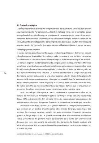 24
MANEJO INTEGRADO DE LAS PLAGAS DE INSECTOS EN HORTALIZAS
iii. Control etológico
La etología se refiere al estudio del comportamiento de los animales (insectos) con relación
a su medio ambiente. Por consiguiente, el control etológico viene a ser el control de plagas
aprovechando los estímulos que se relacionan al comportamiento y que sirven como
atrayentes de los insectos. En general, el uso del control etológico incluye la utilización de
cebos, atrayentes cromáticos (como por ejemplo ciertos colores que resultan atrayentes para
algunas especies de insectos) y feromonas para ser utilizadas mediante el uso de trampas.
Trampas pegantes amarillas
El uso de trampas pegantes amarillas ayuda a reducir las poblaciones de insectos nocivos
y la aplicación de insecticidas. Sin embargo, debe considerarse que en estas trampas es
posible encontrar también a controladores biológicos, especialmente avispas parasitoides.
Las trampas pegantes pueden ser construidas con pedazos de plástico amarillo de diferentes
tamaños de acuerdo al uso que se les dé, untados con algún pegamento especial de larga
duración o simplemente con aceites vegetales o minerales. El aceite de motor (grado 50)
dura aproximadamente de 10 a 15 días. Las trampas se colocan en el campo sobre estacas
de madera; siempre deben estar a una altura superior a la del follaje de las plantas, lo
recomendable es que se encuentren a 10 cm por encima del follaje. Se recomienda el uso
de una trampa por campo. Estas trampas (de 20 x 20 cm) pueden utilizarse a partir del inicio
del cultivo con el fin de monitorear la cantidad de insectos dañinos que se encuentran en
un campo de cultivo, por ejemplo mosca minadora en apio, espinaca, papa.
En el caso del apio y la espinaca, cuando se observa la presencia de adultos en las
trampas de monitoreo, es momento de colocar las trampas (de 50 x 50 cm) en el campo
(Figura 12A), en la proporción de 1 por cada 100 m2
, las cuales reducen las poblaciones de
moscas adultas, al mismo tiempo que favorecen la presencia de sus enemigos naturales.
Una modificación de esta práctica es la ”pasada de manta”o ”trampas amarillas móviles”,
que consisten en un plástico amarillo grande (de 3 metros de largo), sujetado por dos
personas de extremo a extremo y untado con aceite comestible compuesto para evitar
quemar el follaje (Figura 12B). La “pasada de manta” debe realizarse desde el inicio del
cultivo y durante los dos primeros meses del desarrollo de la planta, con una frecuencia
de una o dos veces por semana. La aplicación de esta técnica ha llegado a reducir a la
mitad el número de aplicaciones de insecticidas para el control de la mosca minadora en
el cultivo de papa.
 