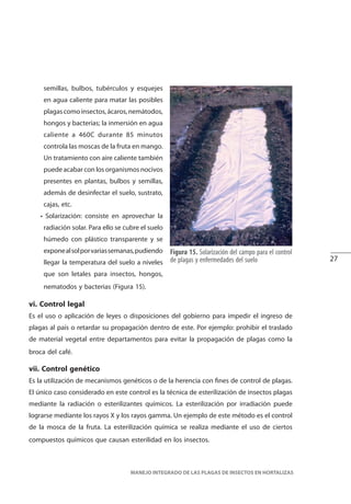 27
MANEJO INTEGRADO DE LAS PLAGAS DE INSECTOS EN HORTALIZAS
Figura 15. Solarización del campo para el control
de plagas y enfermedades del suelo
semillas, bulbos, tubérculos y esquejes
en agua caliente para matar las posibles
plagascomoinsectos,ácaros,nemátodos,
hongos y bacterias; la inmersión en agua
caliente a 460C durante 85 minutos
controla las moscas de la fruta en mango.
Un tratamiento con aire caliente también
puede acabar con los organismos nocivos
presentes en plantas, bulbos y semillas,
además de desinfectar el suelo, sustrato,
cajas, etc.
• Solarización: consiste en aprovechar la
radiación solar. Para ello se cubre el suelo
húmedo con plástico transparente y se
exponealsolporvariassemanas,pudiendo
llegar la temperatura del suelo a niveles
que son letales para insectos, hongos,
nematodos y bacterias (Figura 15).
vi. Control legal
Es el uso o aplicación de leyes o disposiciones del gobierno para impedir el ingreso de
plagas al país o retardar su propagación dentro de este. Por ejemplo: prohibir el traslado
de material vegetal entre departamentos para evitar la propagación de plagas como la
broca del café.
vii. Control genético
Es la utilización de mecanismos genéticos o de la herencia con fines de control de plagas.
El único caso considerado en este control es la técnica de esterilización de insectos plagas
mediante la radiación o esterilizantes químicos. La esterilización por irradiación puede
lograrse mediante los rayos X y los rayos gamma. Un ejemplo de este método es el control
de la mosca de la fruta. La esterilización química se realiza mediante el uso de ciertos
compuestos químicos que causan esterilidad en los insectos.
 