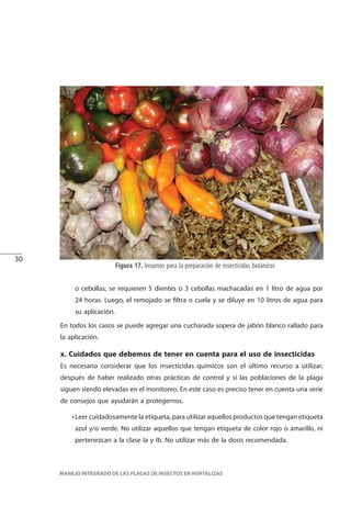 30
MANEJO INTEGRADO DE LAS PLAGAS DE INSECTOS EN HORTALIZAS
Figura 17. Insumos para la preparación de insecticidas botánicos
o cebollas, se requieren 5 dientes o 3 cebollas machacadas en 1 litro de agua por
24 horas. Luego, el remojado se filtra o cuela y se diluye en 10 litros de agua para
su aplicación.
En todos los casos se puede agregar una cucharada sopera de jabón blanco rallado para
la aplicación.
x. Cuidados que debemos de tener en cuenta para el uso de insecticidas
Es necesario considerar que los insecticidas químicos son el último recurso a utilizar,
después de haber realizado otras prácticas de control y sí las poblaciones de la plaga
siguen siendo elevadas en el monitoreo. En este caso es preciso tener en cuenta una serie
de consejos que ayudarán a protegernos.
• Leer cuidadosamente la etiqueta, para utilizar aquellos productos que tengan etiqueta
azul y/o verde. No utilizar aquellos que tengan etiqueta de color rojo o amarillo, ni
pertenezcan a la clase Ia y Ib. No utilizar más de la dosis recomendada.
 