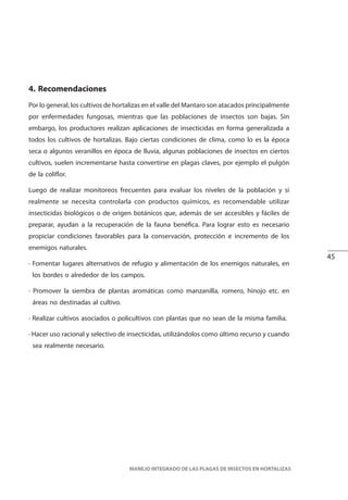 45
MANEJO INTEGRADO DE LAS PLAGAS DE INSECTOS EN HORTALIZAS
4. Recomendaciones
Por lo general, los cultivos de hortalizas en el valle del Mantaro son atacados principalmente
por enfermedades fungosas, mientras que las poblaciones de insectos son bajas. Sin
embargo, los productores realizan aplicaciones de insecticidas en forma generalizada a
todos los cultivos de hortalizas. Bajo ciertas condiciones de clima, como lo es la época
seca o algunos veranillos en época de lluvia, algunas poblaciones de insectos en ciertos
cultivos, suelen incrementarse hasta convertirse en plagas claves, por ejemplo el pulgón
de la coliflor.
Luego de realizar monitoreos frecuentes para evaluar los niveles de la población y si
realmente se necesita controlarla con productos químicos, es recomendable utilizar
insecticidas biológicos o de origen botánicos que, además de ser accesibles y fáciles de
preparar, ayudan a la recuperación de la fauna benéfica. Para lograr esto es necesario
propiciar condiciones favorables para la conservación, protección e incremento de los
enemigos naturales.
· Fomentar lugares alternativos de refugio y alimentación de los enemigos naturales, en
los bordes o alrededor de los campos.
· Promover la siembra de plantas aromáticas como manzanilla, romero, hinojo etc. en
áreas no destinadas al cultivo.
· Realizar cultivos asociados o policultivos con plantas que no sean de la misma familia.
· Hacer uso racional y selectivo de insecticidas, utilizándolos como último recurso y cuando
sea realmente necesario.
 