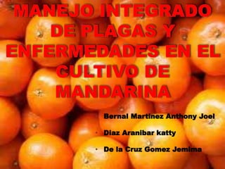 • Bernal Martinez Anthony Joel
• Diaz Aranibar katty
• De la Cruz Gomez Jemima
 