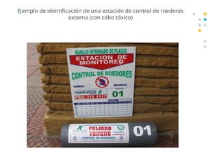 Manejo Integrado de Plagas: Estrategias y Control en la Industria ...