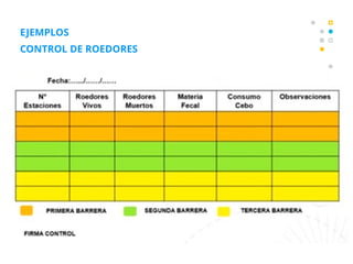 Manejo Integrado de Plagas: Estrategias y Control en la Industria ...