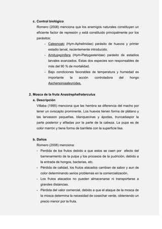c. Control biológico
Romero (2008) menciona que los enemigos naturales constituyen un
eficiente factor de represión y está constituido principalmente por los
parásitos:
- Calesnoaki (Hym-Aphelinidae) parásito de huevos y primer
estadio larval, recientemente introducido.
- Amitusspinifera (Hym-Platygasteridae) parásito de estadios
larvales avanzados. Estas dos especies son responsables de
más del 90 % de mortalidad.
- Bajo condiciones favorables de temperatura y humedad es
importante la acción controladora del hongo
Aschersoniaaleyrodes.
2. Mosca de la fruta Anastrephafraterculus
a. Descripción
Villaba (1995) menciona que las hembra se diferencia del macho por
tener un oviscapto prominente, Los huevos tienen forma de plátano y
las larvasson pequeñas, blanquecinas y ápodas, truncadaspor la
parte posterior y afiladas por la parte de la cabeza. La pupa es de
color marrón y tiene forma de barrilete con la superficie lisa.
b. Daños
Romero (2008) menciona:
- Perdida de los frutos debido a que estos se caen por efecto del
barrenamiento de la pulpa y los procesos de la pudrición, debido a
la entrada de hongos, bacterias, etc.
- Pérdida de calidad, los frutos atacados cambian de sabor y aun de
color determinando serios problemas en la comercialización.
- Los frutos atacados no pueden almacenarse ni transportarse a
grandes distancias.
- Pérdida del valor comercial, debido a que el ataque de la mosca de
la mosca determina la necesidad de cosechar verde, obteniendo un
precio menor por la fruta.
 