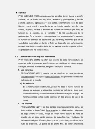 f. Semillas
PROHACIENDO (2011) reporta que las semillas tienen forma y tamaño
variable; las de limón son pequeñas, esféricas y puntiagudas, y las del
pomelo, grandes, aplastadas y con aletas, externamente son de color
blanco, crema marfil o amarillento; en su interior pueden ser de color
canela, purpura, rosada o amarillo. El número de semillas por fruto es
función de la especie, de la variedad y de las condiciones de la
polinización. En la naranja común que tiene una autofecundación elevada,
el número de semillas es abundante (20 por fruto), mientras que en las
variedades mejoradas en donde el fruto se desarrolla por partenocarpia,
es decir que la fecundación de la flor no existes o es incompleta, el fruto
es prácticamente no tiene semillas.
1.2 Características de algunas variedades
PROHACIENDO (2011) reportan que dentro de esta nomenclatura las
especies más importantes comúnmente se clasifican en cinco grupos:
naranjas, limones, mandarinas, tangelos, toronjas o pomelos.
1. Las naranjas
PROHACIENDO (2011) reporta que se clasifican en naranjas dulces
(citrussinensis) y las agrias (citrusaurantium), las primeras son las más
cultivadas en el mundo.
a) La valencia
Es la naranja líder en el mundo, porque ha dado el mayor número de
clones, se adaptan a diferentes condiciones del clima, tiene buen
contenido ácidos y comercialmente se le considera para el jugo. Las
naranjas dulces se les puede clasificar en dos grupos: de jugo o de
mesa.
2. Los limones
PROHACIENDO (2011) se les conoce internacionalmente como las
limas acidas, el limón Tahití (limapersa) es un árbol mediano, vigoroso,
de copa abierta y caída, follaje de color verde oscuro. El fruto es
grande, de un color verde intenso, de superficie lisa y brillante, de
forma oval o elíptica. Es una planta precoz, productiva y la calidad de la
fruta es excelente. La pulpa es de grano fino, de color amarillento
 