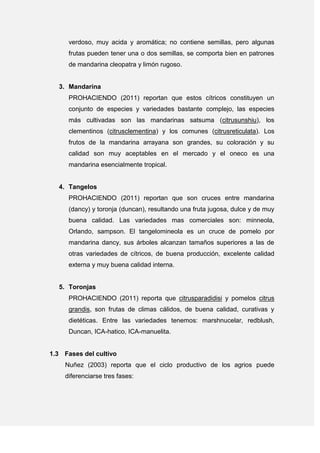 verdoso, muy acida y aromática; no contiene semillas, pero algunas
frutas pueden tener una o dos semillas, se comporta bien en patrones
de mandarina cleopatra y limón rugoso.
3. Mandarina
PROHACIENDO (2011) reportan que estos cítricos constituyen un
conjunto de especies y variedades bastante complejo, las especies
más cultivadas son las mandarinas satsuma (citrusunshiu), los
clementinos (citrusclementina) y los comunes (citrusreticulata). Los
frutos de la mandarina arrayana son grandes, su coloración y su
calidad son muy aceptables en el mercado y el oneco es una
mandarina esencialmente tropical.
4. Tangelos
PROHACIENDO (2011) reportan que son cruces entre mandarina
(dancy) y toronja (duncan), resultando una fruta jugosa, dulce y de muy
buena calidad. Las variedades mas comerciales son: minneola,
Orlando, sampson. El tangelomineola es un cruce de pomelo por
mandarina dancy, sus árboles alcanzan tamaños superiores a las de
otras variedades de cítricos, de buena producción, excelente calidad
externa y muy buena calidad interna.
5. Toronjas
PROHACIENDO (2011) reporta que citrusparadidisi y pomelos citrus
grandis, son frutas de climas cálidos, de buena calidad, curativas y
dietéticas. Entre las variedades tenemos: marshnucelar, redblush,
Duncan, ICA-hatico, ICA-manuelita.
1.3 Fases del cultivo
Nuñez (2003) reporta que el ciclo productivo de los agrios puede
diferenciarse tres fases:
 