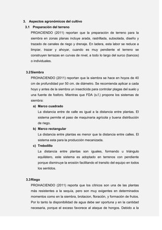 3. Aspectos agronómicos del cultivo
3.1 Preparación del terreno
PROACIENDO (2011) reportan que la preparación de terreno para la
siembra en zonas planas incluye arada, rastrillada, subsolada, diseño y
trazado de canales de riego y drenaje. En ladera, esta labor se reduce a
limpiar, trazar y ahoyar, cuando es muy pendiente el terreno se
construyen terrazas en curvas de nivel, a todo lo largo del surco (bancos)
o individuales.
3.2Siembra
PROHACIENDO (2011) reportan que la siembra se hace en hoyos de 40
cm de profundidad por 50 cm. de diámetro. Se recomienda aplicar a cada
hoyo y antes de la siembra un insecticida para controlar plagas del suelo y
una fuente de fosforo. Mientras que FDA (s.f.) propone los sistemas de
siembra:
a) Marco cuadrado
La distancia entre de calle es igual a la distancia entre plantas. El
sistema permite el paso de maquinaria agrícola y buena distribución
de riego.
b) Marco rectangular
La distancia entre plantas es menor que la distancia entre calles. El
sistema esta para la producción mecanizada.
c) Trebolillo
La distancia entre plantas son iguales, formando u triángulo
equilátero, este sistema es adoptado en terrenos con pendiente
porque disminuye la erosión facilitando el transito del equipo en todos
los sentidos.
3.3Riego
PROHACIENDO (2011) reporta que los cítricos son una de las plantas
más resistentes a la sequía, pero son muy exigentes en determinados
momentos como en la siembra, brotacion, floración, y formación de frutos.
Por lo tanto la disponibilidad de agua debe ser oportuna y en la cantidad
necesaria, porque el exceso favorece al ataque de hongos. Debido a la
 