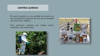 El control químico es una medida de control con
uso de productos químicos Es una de las medidas
más efectivas y rápidas.
Usar productos químicos que tengan menos
toxicidad y más electividad.
CONTROL QUÍMICO
 