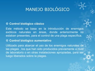 MANEJO BIOLÓGICO
 Control biológico clásico
Este método se basa en la introducción de enemigos
exóticos naturales en áreas, donde anteriormente no
estaban presentes, para el control de una plaga específica.
 Control biológico aumentativo

Utilizado para abarcar el uso de los enemigos naturales de
las plagas , los que han sido producidos previamente a nivel
de laboratorio o en otras instalaciones apropiadas, para ser
luego liberados sobre la plagas.

 