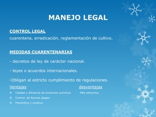 MANEJO LEGAL
CONTROL LEGAL
cuarentena, erradicación, reglamentación de cultivo.

MEDIDAS CUARENTENARIAS
- decretos de ley de carácter nacional.
- leyes o acuerdos internacionales.
-Obligan al estricto cumplimiento de regulaciones.
Ventajas


Calidad y eficiencia de productos químicos



Control de Nuevas plagas



Preventivo y curativo

desventajas
Más esfuerzos.

 