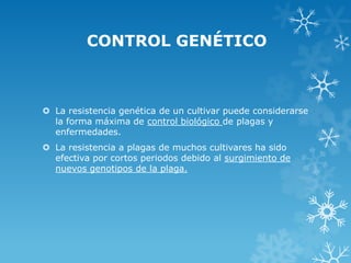 CONTROL GENÉTICO

 La resistencia genética de un cultivar puede considerarse
la forma máxima de control biológico de plagas y
enfermedades.
 La resistencia a plagas de muchos cultivares ha sido
efectiva por cortos periodos debido al surgimiento de
nuevos genotipos de la plaga.

 