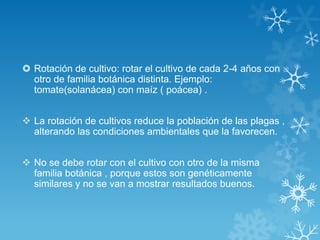  Rotación de cultivo: rotar el cultivo de cada 2-4 años con
otro de familia botánica distinta. Ejemplo:
tomate(solanácea) con maíz ( poácea) .

 La rotación de cultivos reduce la población de las plagas ,
alterando las condiciones ambientales que la favorecen.
 No se debe rotar con el cultivo con otro de la misma
familia botánica , porque estos son genéticamente
similares y no se van a mostrar resultados buenos.

 