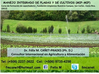 MANEJO INTEGRADO DE PLAGAS Y DE CULTIVOS (MIP-MIP)
Curso	
  de	
  Formación	
  de	
  capacitadores	
  ,	
  Fundación	
  Limpiemos	
  Nuestros	
  Campos.	
  San	
  Carlos	
  ,	
  Costa	
  Rica.
(2012)

• 
• 
• 
• 

	
  	
  
	
   	
  

, Cuba + 535 2368162
fmcanet@ Hotmail.com
Felix M.
DrCanetBPAGAP

Dr.	
  Félix	
  M.	
  CAÑET-­‐PRADES	
  (Ph.	
  D.)	
  
Consultor	
  Internacional	
  en	
  Agricultura	
  y	
  Alimentación	
  
Tel: (+506) 2237-3622 Cel: (+506) 8735-4250
fmcanet@hotmail.com

Felix M

fmcanet

 