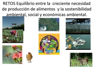 RETOS	
  Equilibrio	
  entre	
  la	
  	
  creciente	
  necesidad	
  
de	
  producción	
  de	
  alimentos	
  	
  y	
  la	
  sostenibilidad	
  
ambiental,	
  social	
  y	
  económicas	
  ambiental.	
  

 