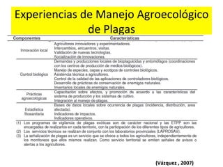 Experiencias	
  de	
  Manejo	
  Agroecológico	
  
de	
  Plagas	
  

(Vázquez	
  ,	
  2007)	
  	
  

 