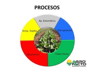 Manejo integrado nutricion agrícola Agrofacto