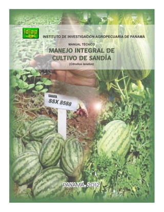 INSTITUTO DE INVESTIGACIÓN AGROPECUARIA DE PANAMÁ
MANEJO INTEGRAL DE
CULTIVO DE SANDÍA
(Citrullus lanatus)
MANUAL TÉCNICO
PANAMÁ, 2012
 