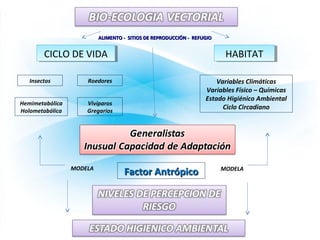 CICLO DE VIDACICLO DE VIDA HABITATHABITAT
Hemimetabólica
Holometabólica
Insectos Roedores
ALIMENTO - SITIOS DE REPRODUCCIÓN - REFUGIOALIMENTO - SITIOS DE REPRODUCCIÓN - REFUGIO
Variables Climáticas
Variables Físico – Químicas
Estado Higiénico Ambiental
Ciclo Circadiano
Vivíparos
Gregarios
Factor AntrópicoFactor Antrópico MODELAMODELA
 
