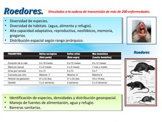 Roedores.Roedores.
• Diversidad de especies.
• Diversidad de hábitats (agua, alimento y refugio).
• Alta capacidad adaptativa, reproductiva, neofóbicos, memoria,
gregarios.
• Distribución espacial según rango jerárquico.
• Diversidad de especies.
• Diversidad de hábitats (agua, alimento y refugio).
• Alta capacidad adaptativa, reproductiva, neofóbicos, memoria,
gregarios.
• Distribución espacial según rango jerárquico.
• Identificación de especies, densidades y distribución geoespacial.
• Manejo de fuentes de alimentación, agua y refugio.
• Barreras sanitarias.
• Identificación de especies, densidades y distribución geoespacial.
• Manejo de fuentes de alimentación, agua y refugio.
• Barreras sanitarias.
RoedoresRoedores
Vinculados a la cadena de transmisión de más de 200 enfermedades.
 