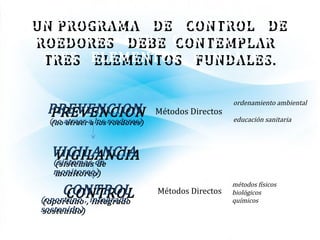 UN PROGRAMA DE CONTROL DEUN PROGRAMA DE CONTROL DE
ROEDORES DEBE CONTEMPLARROEDORES DEBE CONTEMPLAR
TRES ELEMENTOS FUNDALES.TRES ELEMENTOS FUNDALES.
CONTROLCONTROL
PREVENCIONPREVENCION
(no atraer a los roedores)(no atraer a los roedores)
VIGILANCIAVIGILANCIA
Métodos Directos
ordenamiento ambiental
educación sanitaria
Métodos Directos
métodos físicos
biológicos
químicos
(sistemas de(sistemas de
monitoreo)monitoreo)
(oportuno , integrado(oportuno , integrado
sostenido)sostenido)
 