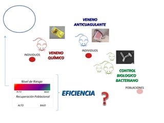 VENENOVENENO
QUÍMICOQUÍMICO
VENENOVENENO
ANTICUAGULANTEANTICUAGULANTE
CONTROLCONTROL
BIOLOGICOBIOLOGICO
BACTERIANOBACTERIANO
POBLACIONES
INDIVIDUOS
INDIVIDUOS
BAJO
Recuperación Poblacional
ALTO
Nivel de Riesgo
ALTO BAJO
EFICIENCIAEFICIENCIA
 