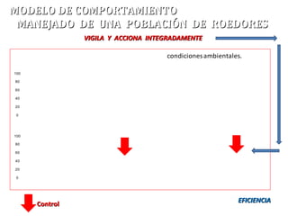 100
80
60
40
20
0
100
80
60
40
20
0
condicionesambientales.
MODELO DE COMPORTAMIENTOMODELO DE COMPORTAMIENTO
MANEJADO DE UNA POBLACIÓN DE ROEDORESMANEJADO DE UNA POBLACIÓN DE ROEDORES
ControlControl EFICIENCIAEFICIENCIA
VIGILA Y ACCIONA INTEGRADAMENTEVIGILA Y ACCIONA INTEGRADAMENTE
 