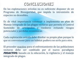 CONCLUSIONESCONCLUSIONES
En las explotaciones avícolas no es suficiente disponer de un
Programa de Bioseguridad, que impida la intromisión de
especies no deseables.
Es de vital importancia construir e implementa un plan de
Manejo Integrado de las plagas vectoras que permita el Control
Sostenido de artrópodos y roedores evitando riesgos
potenciales y perdidas económicas.
Cada explotación avícola debe diseñar su propio plan porque lo
que es conveniente para un hábitat pudiera no serlo para otro.
El proceder reactivo para el enfrentamiento de las poblaciones
vectoras debe ser cambiado por el nuevo paradigma
PROACTIVOPROACTIVO, basado en la educación, la vigilancia y el manejo
integrado de plagas.
 