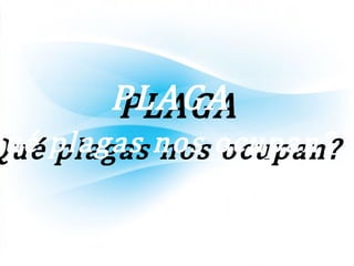 PLAGAPLAGA
Qué plagas nos ocupan?Qué plagas nos ocupan?
 