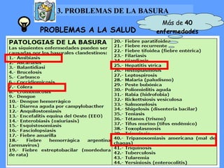 PROBLEMAS A LA SALUD  Más de  40   enfermedades 3. PROBLEMAS DE LA BASURA 