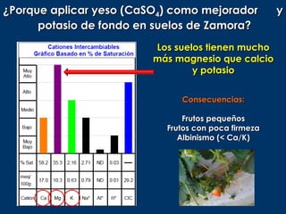 ¿Porque aplicar yeso (CaSO4) como mejorador          y
      potasio de fondo en suelos de Zamora?
                         Los suelos tienen mucho
                         más magnesio que calcio
                                 y potasio


                              Consecuencias:

                               Frutos pequeños
                           Frutos con poca firmeza
                              Albinismo (< Ca/K)
 