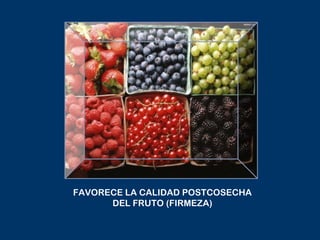 FAVORECE LA CALIDAD POSTCOSECHA
      DEL FRUTO (FIRMEZA)
 