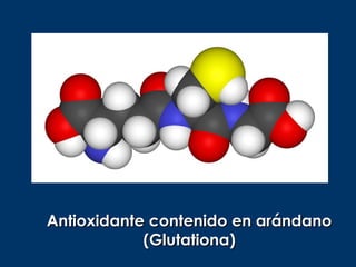Antioxidante contenido en arándano
            (Glutationa)
 