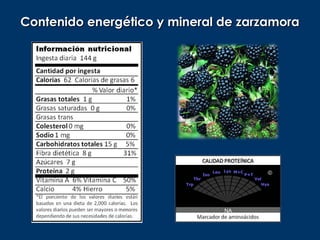 Contenido energético y mineral de zarzamora
 