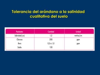Tolerancia del arándano a la salinidad
         cualitativa del suelo
 
