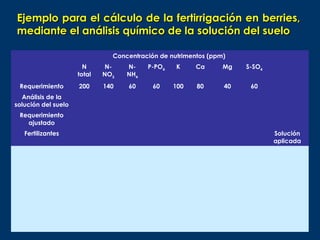 Ejemplo para el cálculo de la fertirrigación en berries,
mediante el análisis químico de la solución del suelo

                               Concentración de nutrimentos (ppm)
                       N      N-   N-    P-PO4    K     Ca      Mg   S-SO4
                     total   NO3   NH4
 Requerimiento       200     140   60      60    100    80      40    60
  Análisis de la
solución del suelo
 Requerimiento
   ajustado
   Fertilizantes                                                             Solución
                                                                             aplicada
 