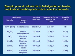 Ejemplo para el cálculo de la fertirrigación en berries,
mediante el análisis químico de la solución del suelo


          Fertilizante            Solución      Concentración en   Solución
 Fórmula            Nombre        aplicada         el inyector      (200 l)
                    común                            (1:200)


H3PO4 (85%)     Acido fosfórico   0.0376 ml/l       7.52 ml/l        1.5 l

  KH2PO4          Fosfato          187 mg/l          37.4 g/l       7.5 kg
                monopotásico
   KNO3            Nitrato de      130 mg/l          26.0 g/l       5.2 kg
                    potasio
  NH4NO3           Nitrato de      353 mg/l          70.6 g/l      14.1 kg
                    amonio
  CaNO3            Nitrato de      420 mg/l          84.0 g/l      16.8 kg
                     calcio
  MgSO4            Sulfato de      380 mg/l          76.0 g/l      15.2 kg
                   magnesio
 