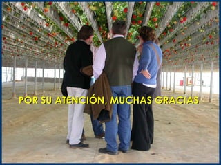 POR SU ATENCIÓN, MUCHAS GRACIAS
 