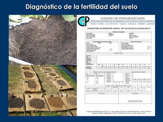 Diagnóstico de la fertilidad del suelo
 